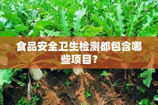 食品安全檢測哪些項目www.rs29.cn
