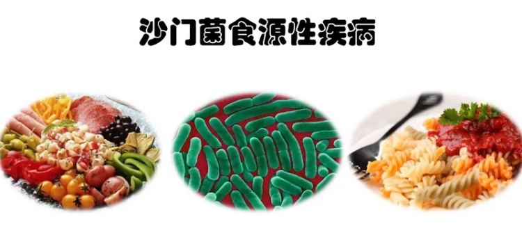 預防沙門氏菌