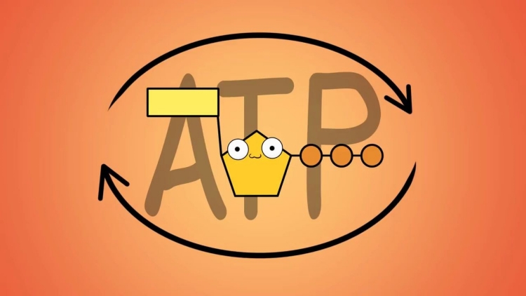 ATP快速熒光檢測(cè)儀是一種高效、準(zhǔn)確、易操作的設(shè)備