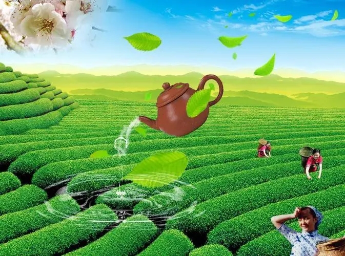 廣泛應用于茶葉生產和加工過程中
